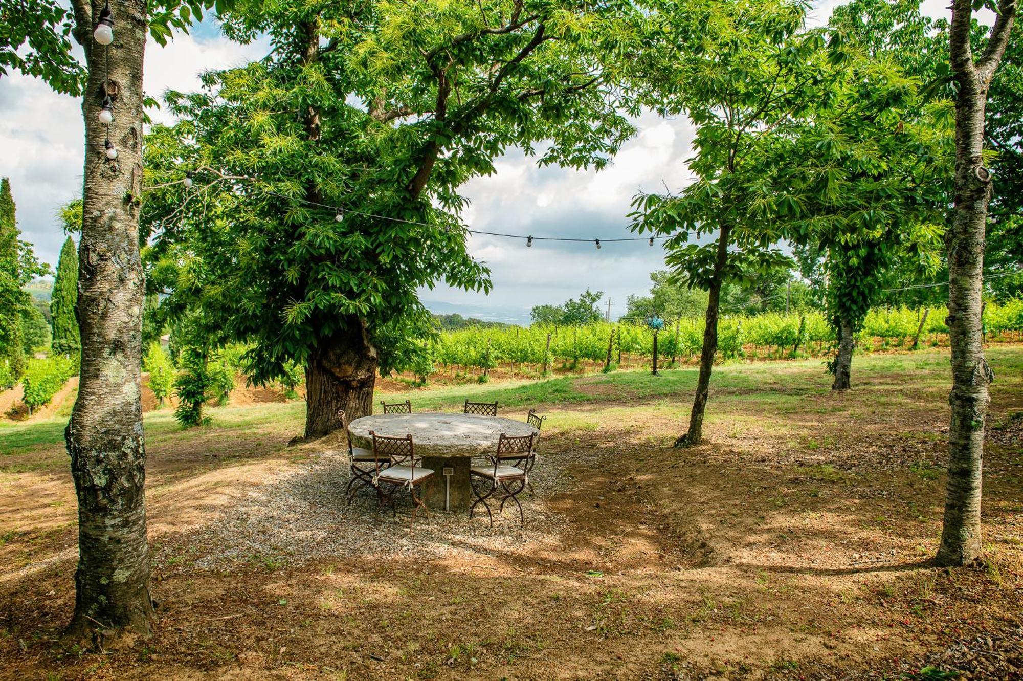 Villa Le Prata - Residenza Del Vescovo - Adults Only Montalcino Exterior foto